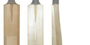 English Willow Cricket Bat