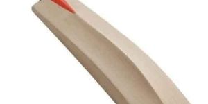 Long Handle Kashmir Willow Cricket Bat