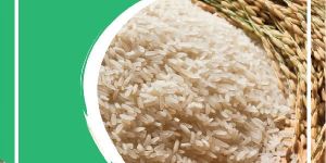 Sona Masoori Raw Rice