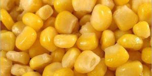 Sweet Corn in Brine