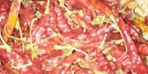 Dry Red Chilli