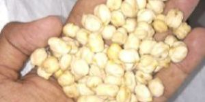Kabuli Chana