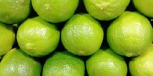 Citrus Fruit