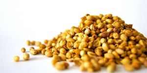 Coriander Seeds