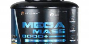 Mega Mass