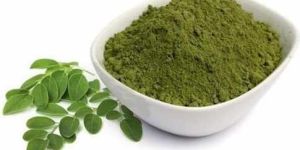 Moringa Extract Powder