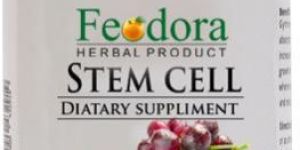 Stem Cell Capsules