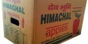 Corrugated Apple Packaging Box