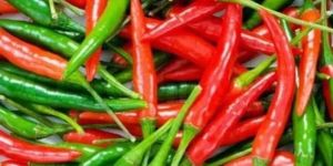 Red Chilli