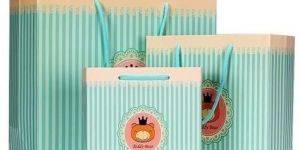 Printed Paper Carry Bags