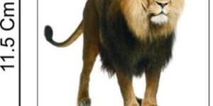 Wooden Magnetic Wild Animals Toys