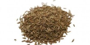 Cumin Seeds