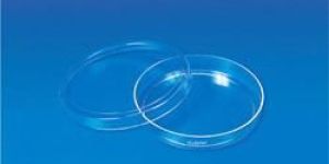 Disposable Petri Dish