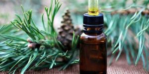 Pine Oil