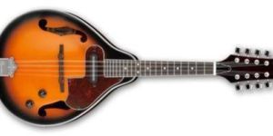 Acoustic Guitar