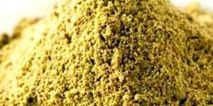 Coriander Powder