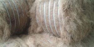 Coir Fiber