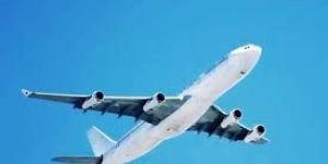 Airline Ticketing Agents