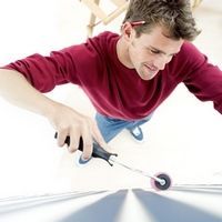 Property Maintenance