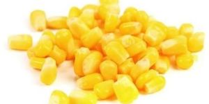 Frozen Sweet Corn