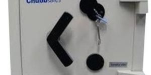 Silver Intelligence Safe