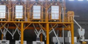 Plantain Flour Plant