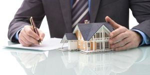 Real Estate Consultant