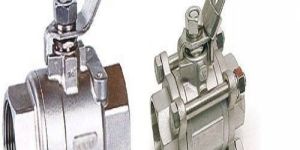 Stainless Steel Industrial Valves