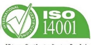 ISO 14001 Certification in Faridkot .