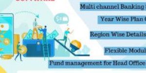 Microfinance Software