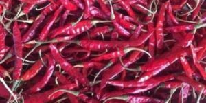 Red Dry Chilli