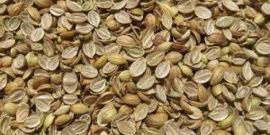 Split Coriander Seeds