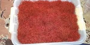 Afghan Saffron