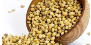 Coriander Seeds