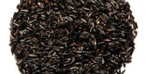 Niger Seeds