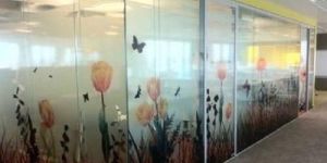 Designer Glass Film