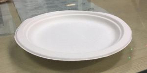 Biodegradable Bagasse Plate