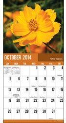 Custom Printed Calendar