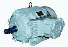 Flameproof Induction Motor