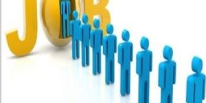 Campus Placement in New Delhi