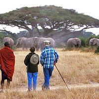 Travel Guide Services