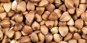 Organic Buckwheat Seeds