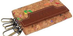 Multi-Colour Key Case