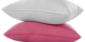 Pillow Classic (16x24)