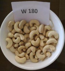 Cashew Kernel