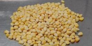 Frozen Sweet Corn