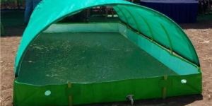 Green Azolla Growing Bed