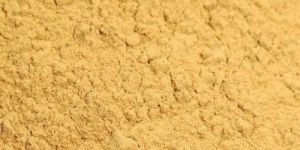 Silymarin Powder