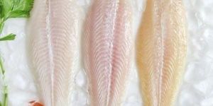 Frozen Basa Fish Fillets