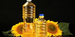 Sunflower Oil